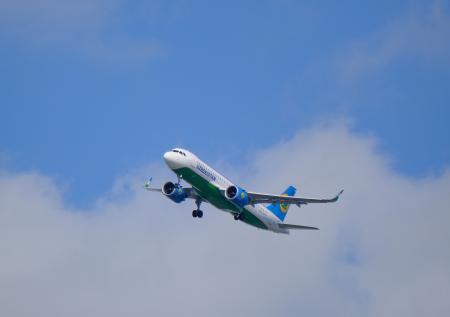 Самолет с десятками пассажиров приземлился на одном двигателе в Москве