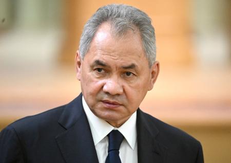 В Кремле прокомментировали командировку Шойгу в Стамбул