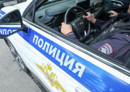 Саратовский Крош остался без ушей перед Новым годом