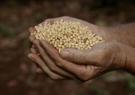 Аналитики назвали продукты, на которые снова поднимутся цены