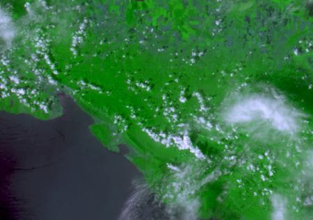 Эколог: нефть в Чёрном море могла попасть в международные воды