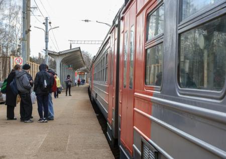 Раскрыта судьба щенка, которого могли высадить из электрички в Колпино