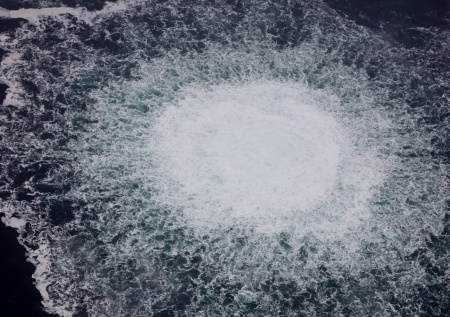 Профессор назвал первую напавшую на НАТО страну