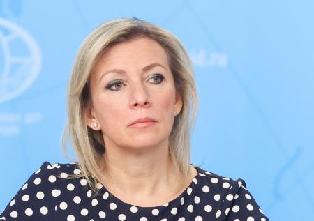 В МИД рассказали, в чем России понадобилась помощь Нигера