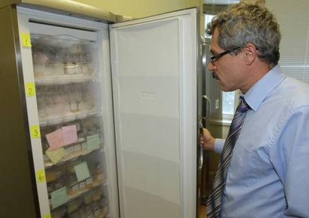WADA опасается принятия «акта Родченкова» 