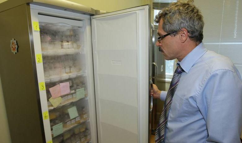 Информатор WADA Григорий Родченков