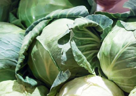 Названы семь продуктов для восстановления печени