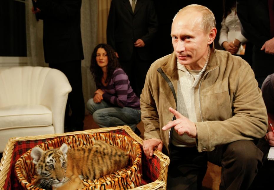 Владимир Путин познакомил журналистов с тигренком, которого ему подарили на день рождения 7 октября 2008 года