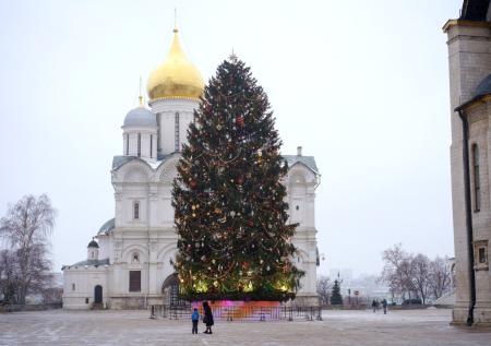 Стала известна судьба кремлевской новогодней елки