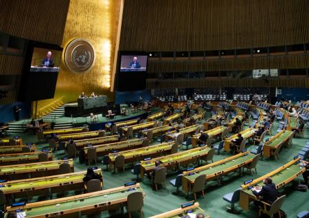 В Госдуме отреагировали на участившиеся обвинения Украины со стороны ООН