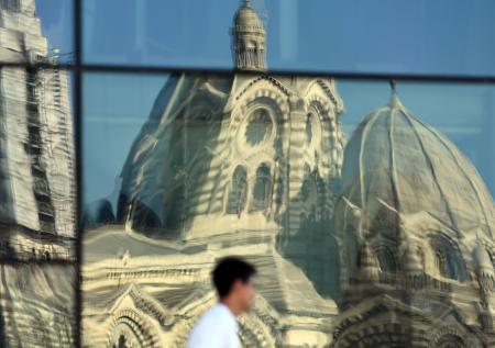Известнейший музей Марселя закрылся из-за нашествия насекомых