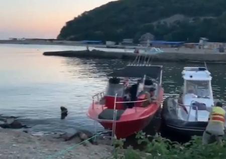 Следователи подтвердили перегрузку перевернувшегося в Чёрном море катера