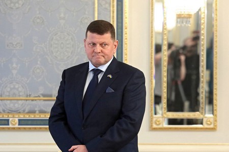 Депутат Рады назвал Залужного таким же тупым, как Зеленский