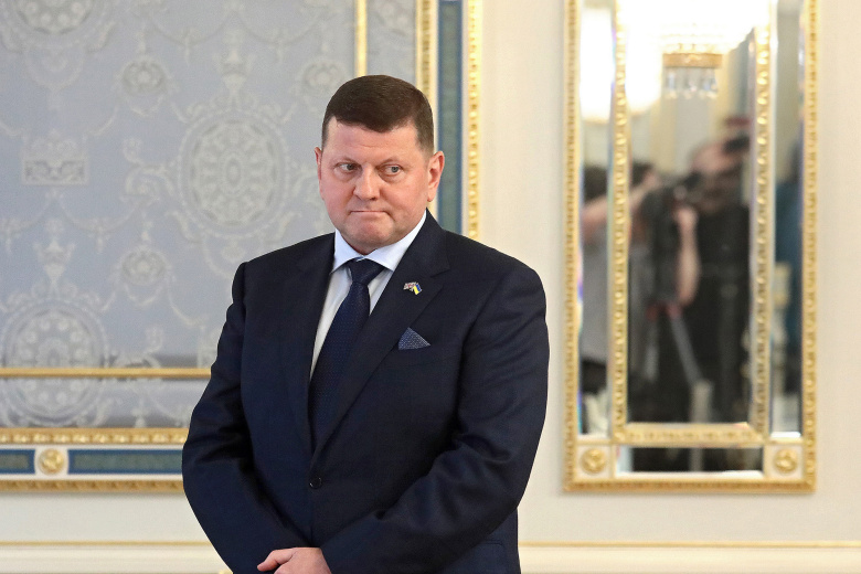 Валерий Залужный