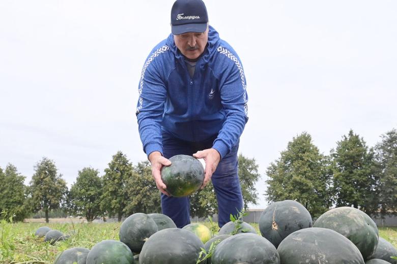 Александр Лукашенко