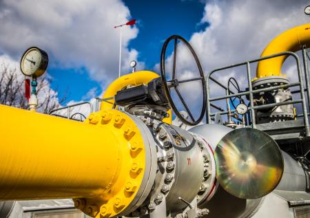 Глава МИД ФРГ оценила возможность эмбарго на поставки российского газа