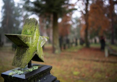 Прокуратура проверяет сделку с землёй у воинского захоронения под Истрой