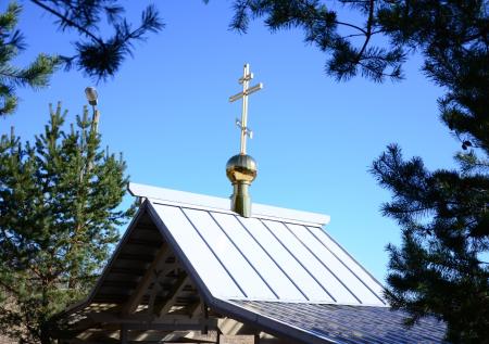Пьяные участники крестного хода избили полицейского