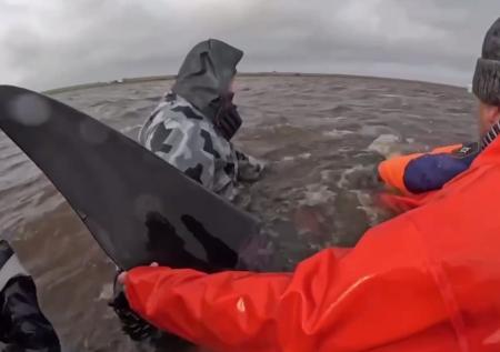 Появилось видео спасения застрявших в лимане на Камчатке косаток