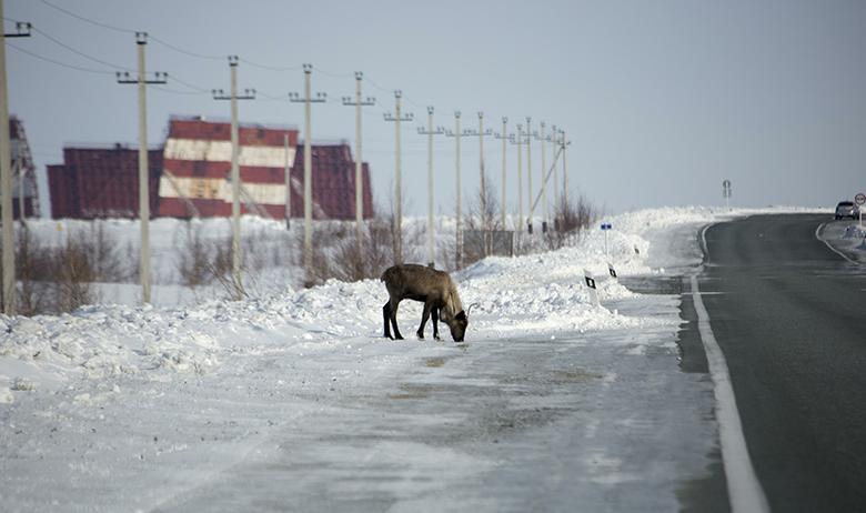 Салехард