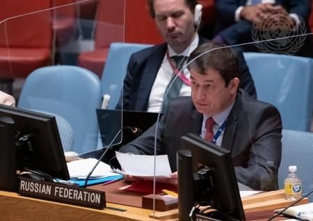 Полянский объяснил появление в небе Киева стаи ворон