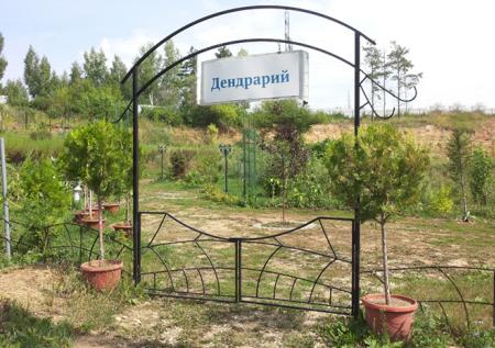 «Цветочный марафон» начался в ботсаду КФУ