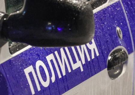 В Уфе задержали мужчину, избившего девушку с собакой 