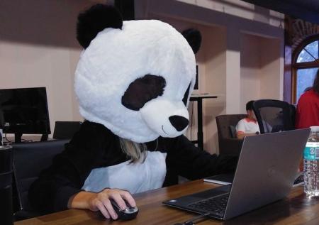 СМИ: PandaDoc финансировала протесты женщин в Белоруссии