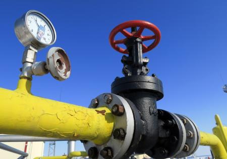 В ФРГ оценили последствия остановки транзита газа из России через Украину