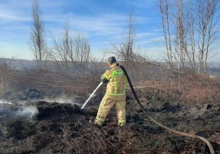 «Возможно задымление городов»: россиян предупредили о торфяных пожарах
