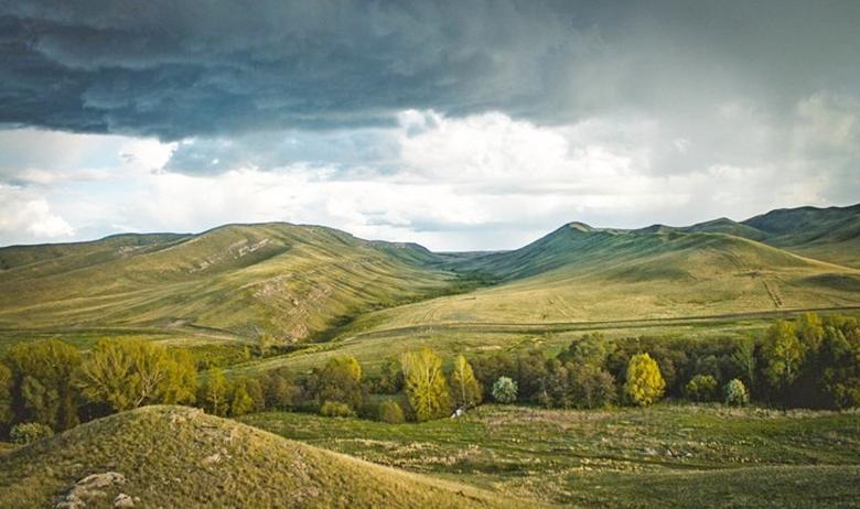Айтуарская степь