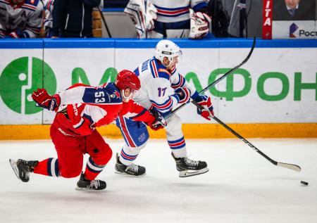Россия сможет провести чемпионат мира по хоккею