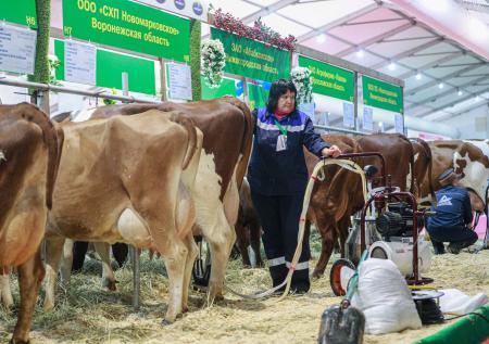 Роскачество будет сертифицировать органическую продукцию
