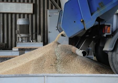Сейм Латвии запретил ввоз сельхозпродукции из России и Белоруссии