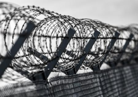 Польша возведет «Восточный щит» вдоль границ протяженностью 800 км