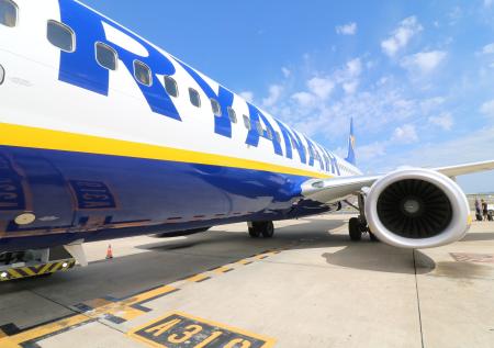 Белоруссия будет в суде добиваться компенсаций после инцидента с Ryanair