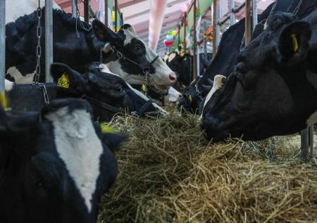 России предрекли снижение качества фермерской продукции