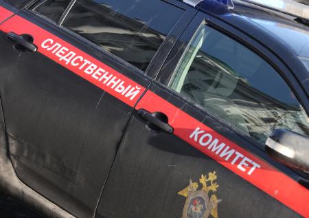 Девятиклассница умерла в Омске от неизвестного вируса