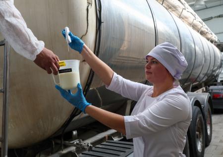 В России выросло производство молочной продукции