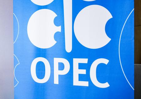 Энергетик объяснил отказ ОПЕК+ снижать цены на нефть