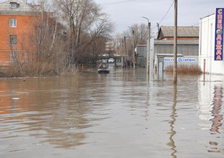 Уровень воды в реке Ишим у села Абатское достиг 1208 см