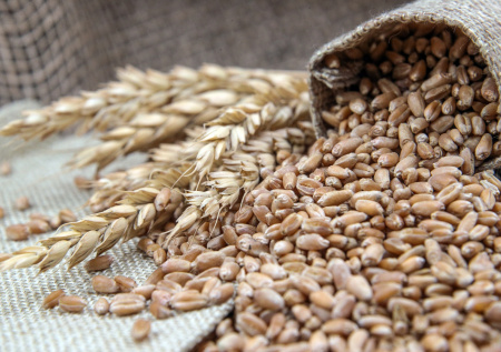 Какой сегодня день? Праздники и памятные даты 5 февраля 2026 года