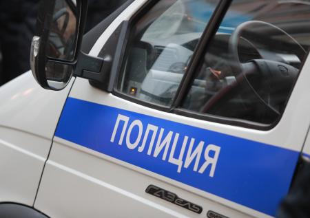 Директор школы назвала причину побега двух девочек в Красноярске