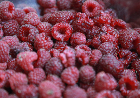 Бутылка с водой помогла найти «автора» отравленной малины для двух девочек