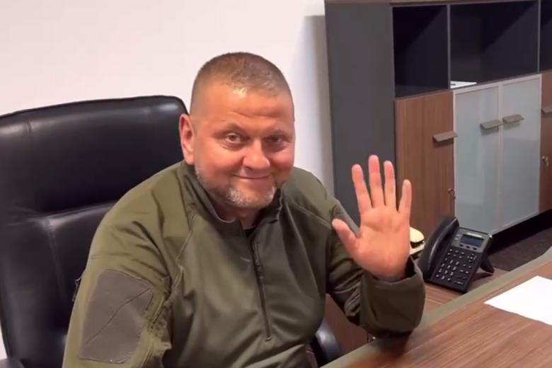 Валерий Залужный