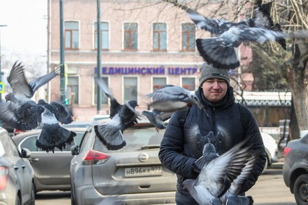 Орнитолог объяснил, какую угрозу несет кормление голубей