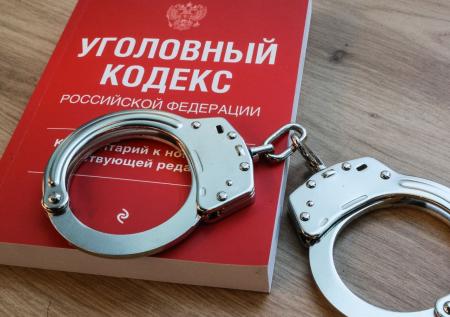 Иностранцев начнут наказывать за помощь противникам России