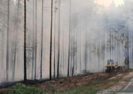 В Рязанской области обратились к Богу, чтобы остановить лесные пожары