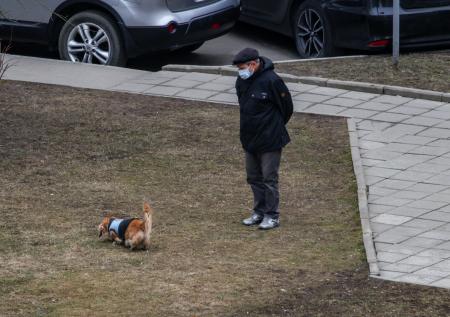 Столичные собаководы прокомментировали задержание Иисуса Воробьёва