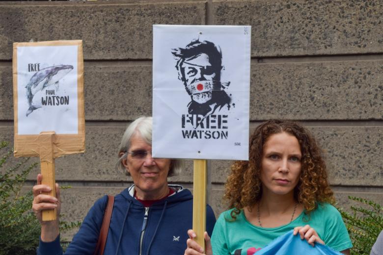 Протестующие держат плакаты «Освободите Пола Уотсона»